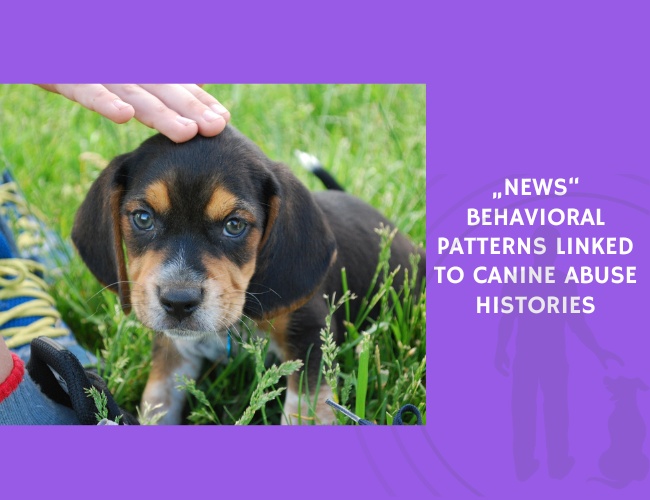 Behavioral Patterns Linked to Canine Abuse Histories
