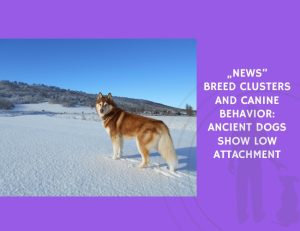 Breed Clusters and Canine Behavior Ancient Dogs Show Low Attachment