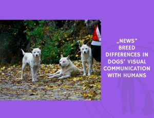 Breed Differences in Dogs’ Visual Communication with Humans