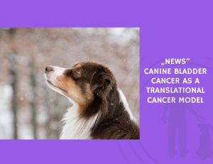 Canine Bladder Cancer as a Translational Cancer Model