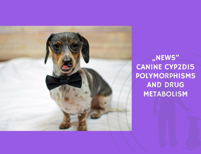 Canine CYP2D15 Polymorphisms and Drug Metabolism
