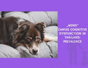 Canine Cognitive Dysfunction in Thailand Prevalence