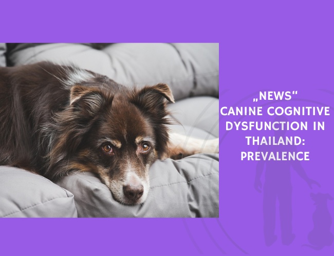 Canine Cognitive Dysfunction in Thailand Prevalence