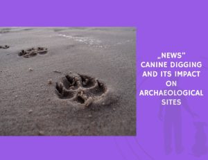 Canine Digging and Its Impact on Archaeological Sites