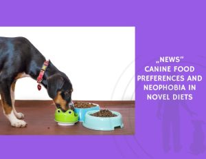 Canine Food Preferences and Neophobia in Novel Diets