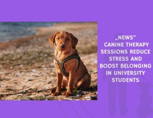 Canine Therapy Sessions Reduce Stress and Boost Belonging in University Students