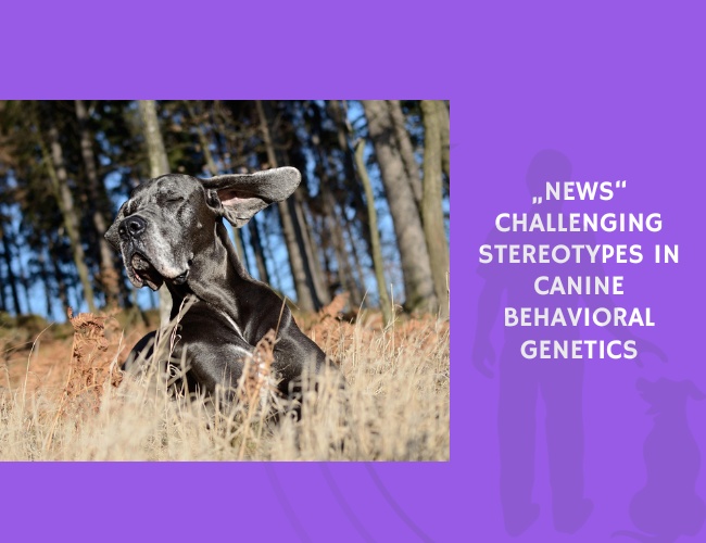 Challenging Stereotypes in Canine Behavioral Genetics