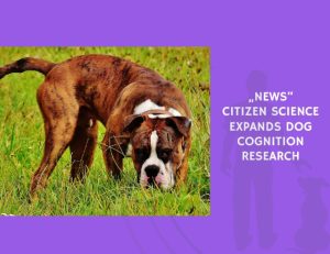 Citizen Science Expands Dog Cognition Research