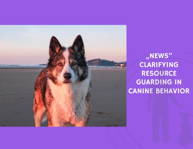 Clarifying Resource Guarding in Canine Behavior