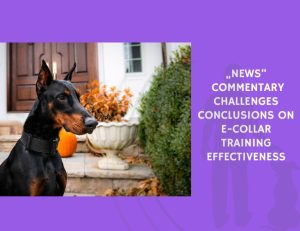 Commentary Challenges Conclusions on E-Collar Training Effectiveness