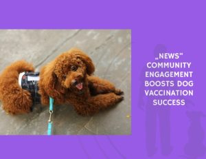 Community Engagement Boosts Dog Vaccination Success