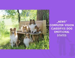 Computer Vision Classifies Dog Emotional States