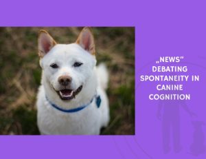 Debating Spontaneity in Canine Cognition