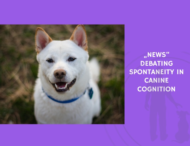 Debating Spontaneity in Canine Cognition