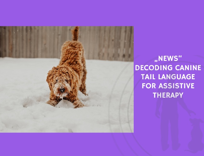 Decoding Canine Tail Language for Assistive Therapy