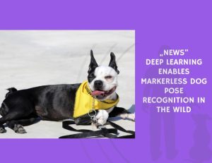 Deep Learning Enables Markerless Dog Pose Recognition in the Wild