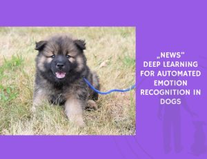Deep Learning for Automated Emotion Recognition in Dogs