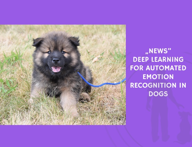 Deep Learning for Automated Emotion Recognition in Dogs