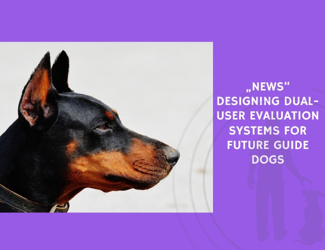 Designing Dual-User Evaluation Systems for Future Guide Dogs