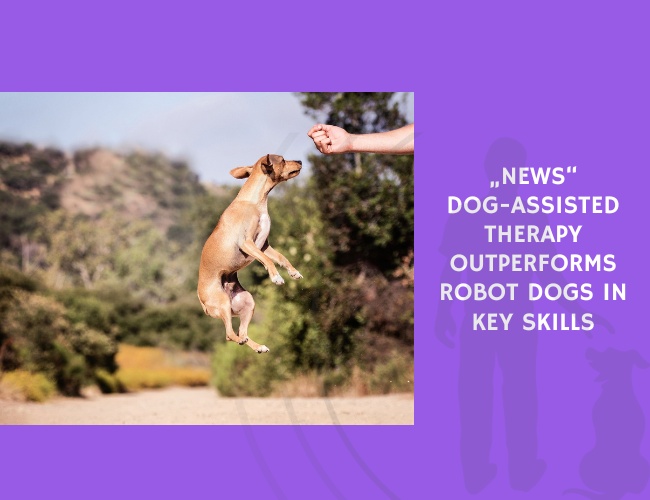 Dog-Assisted Therapy Outperforms Robot Dogs in Key Skills