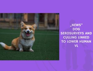 Dog Serosurveys and Culling Linked to Lower Human VL