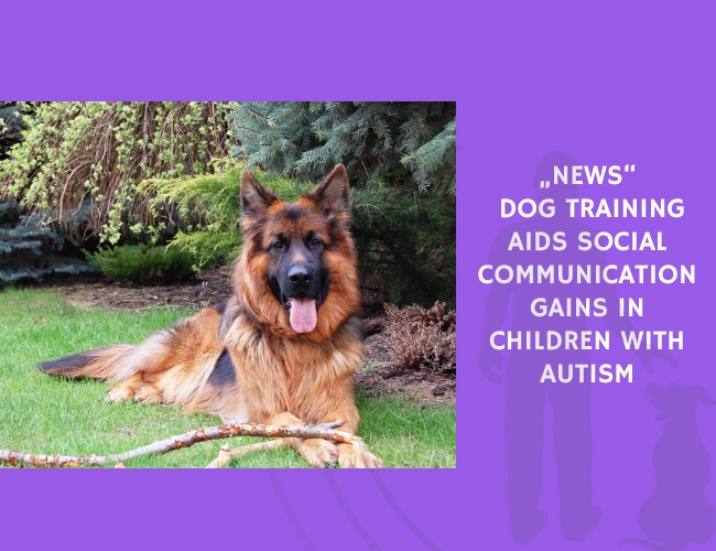 Dog Training Aids Social Communication Gains in Children with Autism