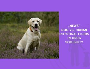 Dog vs. Human Intestinal Fluids in Drug Solubility