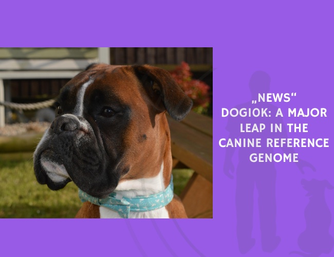 Dog10K A Major Leap in the Canine Reference Genome