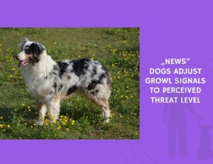 Dogs Adjust Growl Signals to Perceived Threat Level