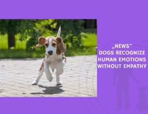 Dogs Recognize Human Emotions Without Empathy