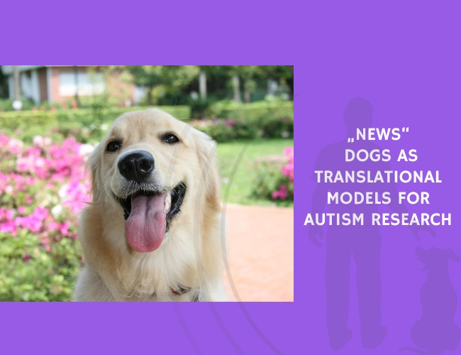 Dogs as Translational Models for Autism Research