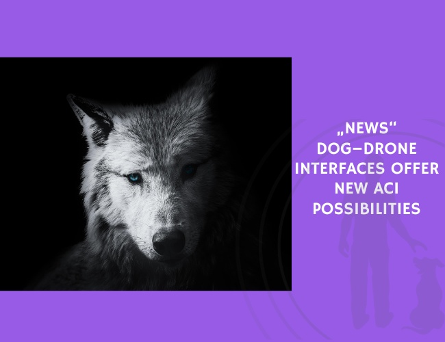 Dog–Drone Interfaces Offer New ACI Possibilities
