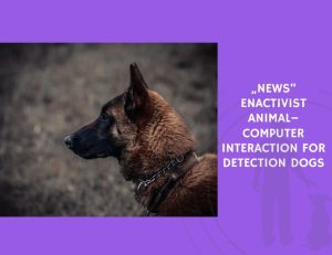 Enactivist Animal–Computer Interaction for Detection Dogs