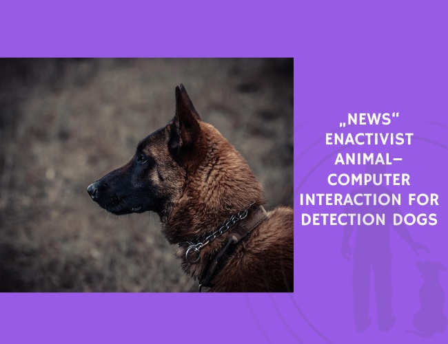 Enactivist Animal–Computer Interaction for Detection Dogs