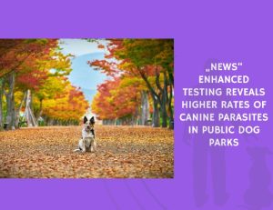Enhanced Testing Reveals Higher Rates of Canine Parasites in Public Dog Parks
