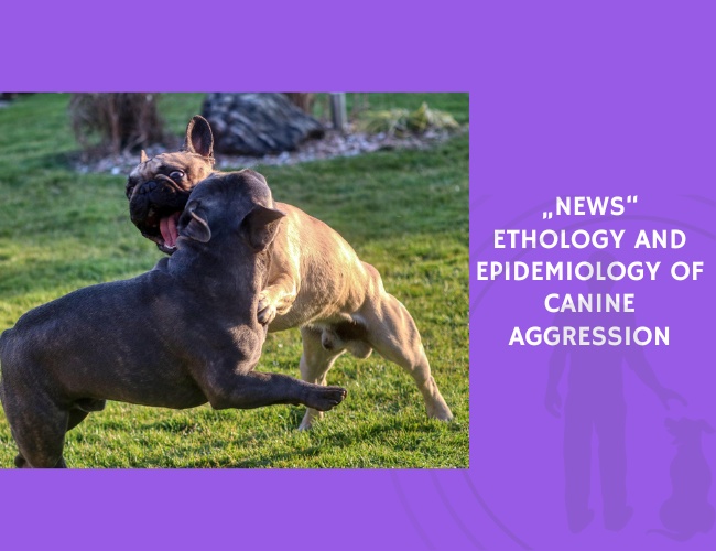 Ethology and Epidemiology of Canine Aggression