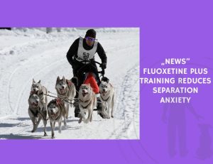 Fluoxetine Plus Training Reduces Separation Anxiety