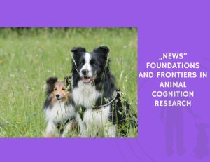 Foundations and Frontiers in Animal Cognition Research
