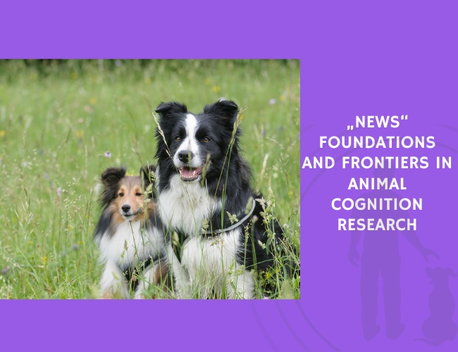 Foundations and Frontiers in Animal Cognition Research