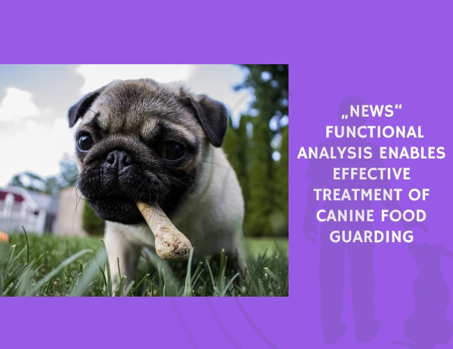Functional Analysis Enables Effective Treatment of Canine Food Guarding