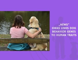 GWAS Links Dog Behavior Genes to Human Traits