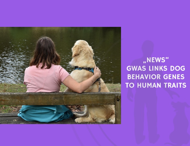 GWAS Links Dog Behavior Genes to Human Traits