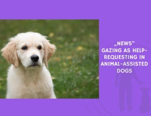 Gazing as Help-Requesting in Animal-Assisted Dogs