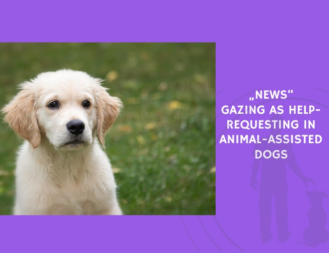 Gazing as Help-Requesting in Animal-Assisted Dogs