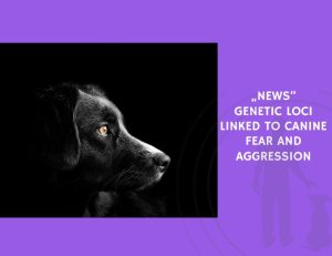 Genetic Loci Linked to Canine Fear and Aggression
