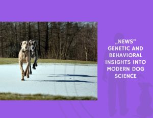 Genetic and Behavioral Insights Into Modern Dog Science