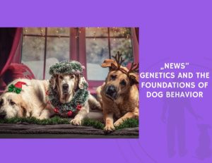 Genetics and the Foundations of Dog Behavior