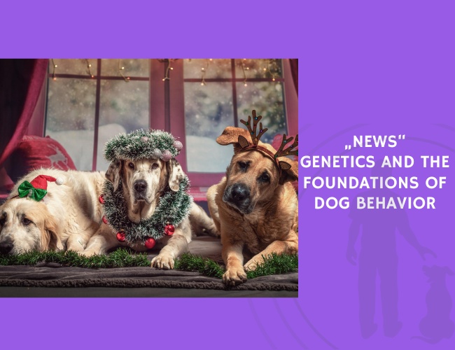 Genetics and the Foundations of Dog Behavior