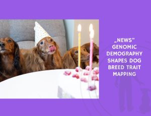 Genomic Demography Shapes Dog Breed Trait Mapping