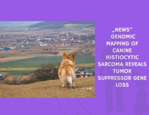 Genomic Mapping of Canine Histiocytic Sarcoma Reveals Tumor Suppressor Gene Loss